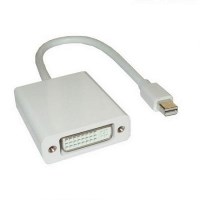 WPOWER - Mobil Kiegsztk - Apple Mini DiplayPort - DVI talakt